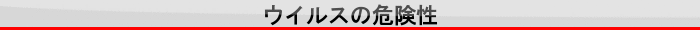 ウイルスの危険性